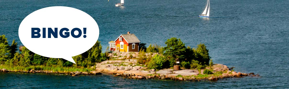 bingo-web-1208x375-5
